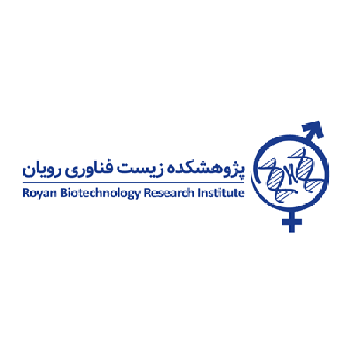 
          
            برند همکار
          
        