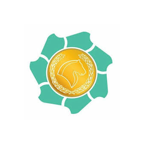 
          
            برند همکار
          
        